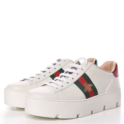 Gucci ace trainers sale